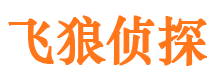 白碱滩外遇出轨调查取证